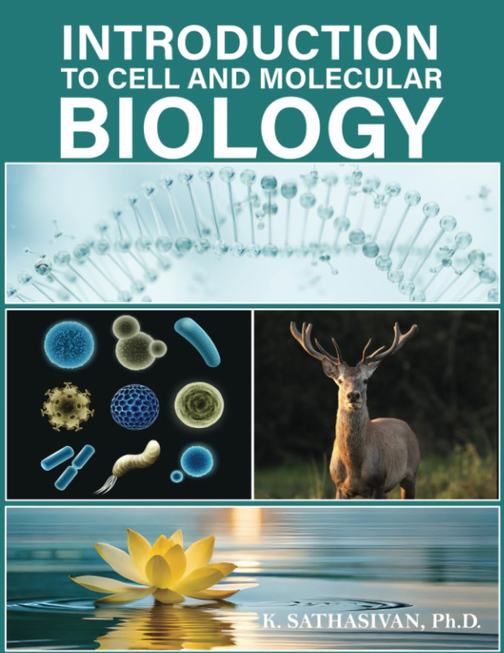 INTRODUCTION TO CELL AND MOLECULAR BIOLOGY