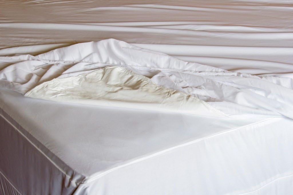 Premium Waterproof Mattress Protector -, Breathable, Proof Cover, Vinyl Free Twin Size, by Assure Sleep by L' COZEE