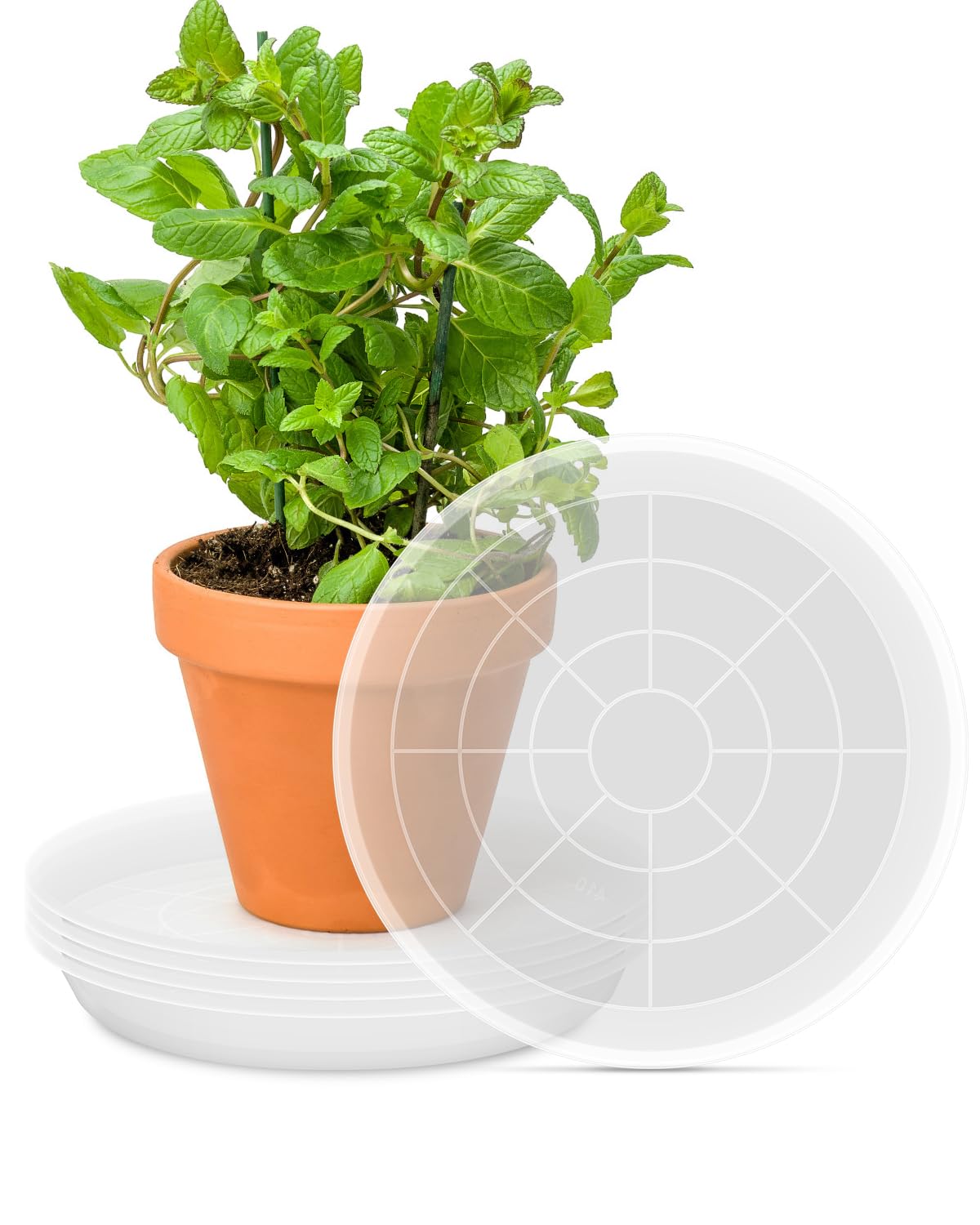 Récipient d'eau rond en plastique pour pot de fleurs au salon ou jardin x5
