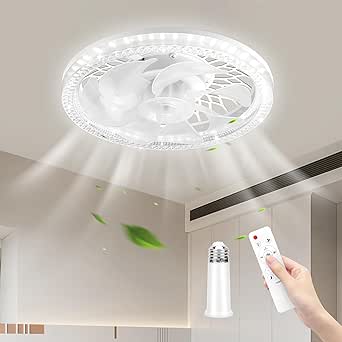 9,8 Zoll Deckenventilator Mit Beleuchtung - Dimmbare LED-Lüfterlampe | E27-Fassung