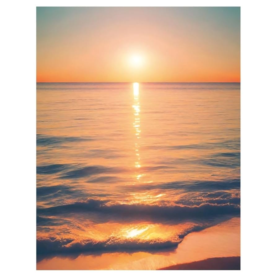 南国の風景画 Amazon.co.jp: アートパネル(縦) (F8, 海9) サンセット 夕日 光