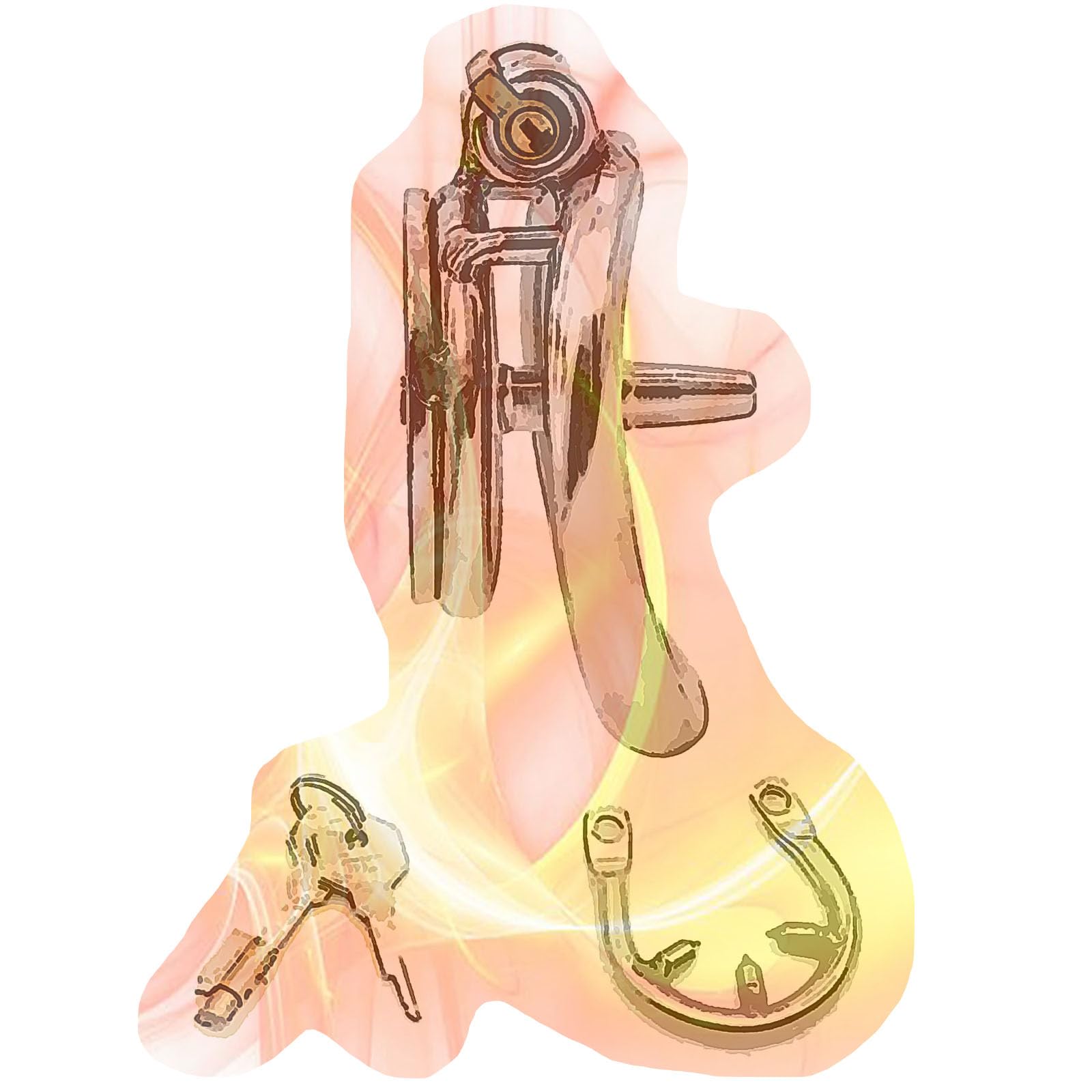 Stainless Steel Flat Cage with Small Rod and Anti-Off Ring, Flat Device for Men Cross-Dressing - USHA10a (Metal Rod, 45mm Curved Ring)