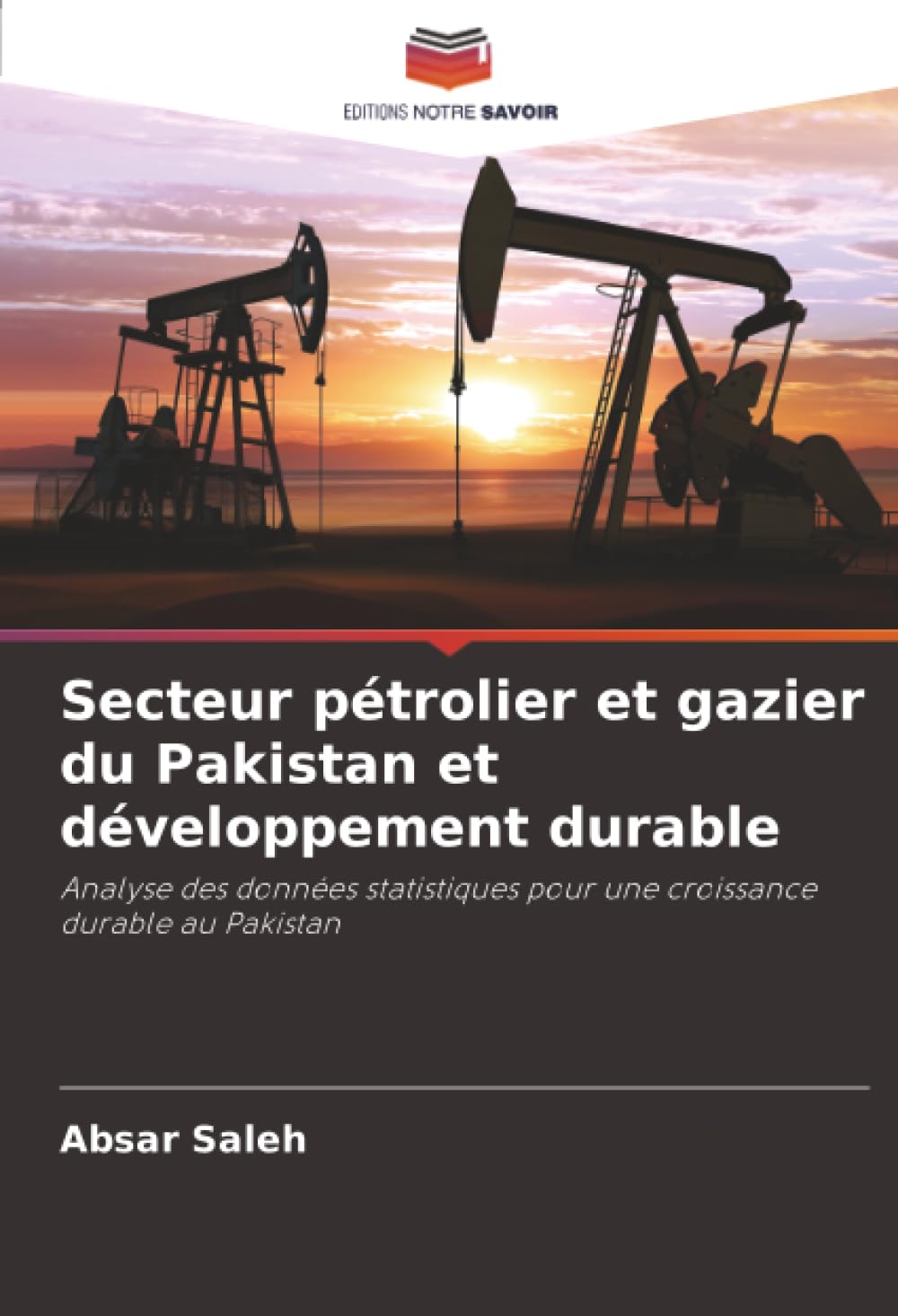 Secteur pétrolier et gazier du Pakistan et développement durable: Analyse des données statistiques pour une croissance durable au Pakistan