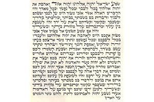 Kosher Pu Purim Parchment Scroll