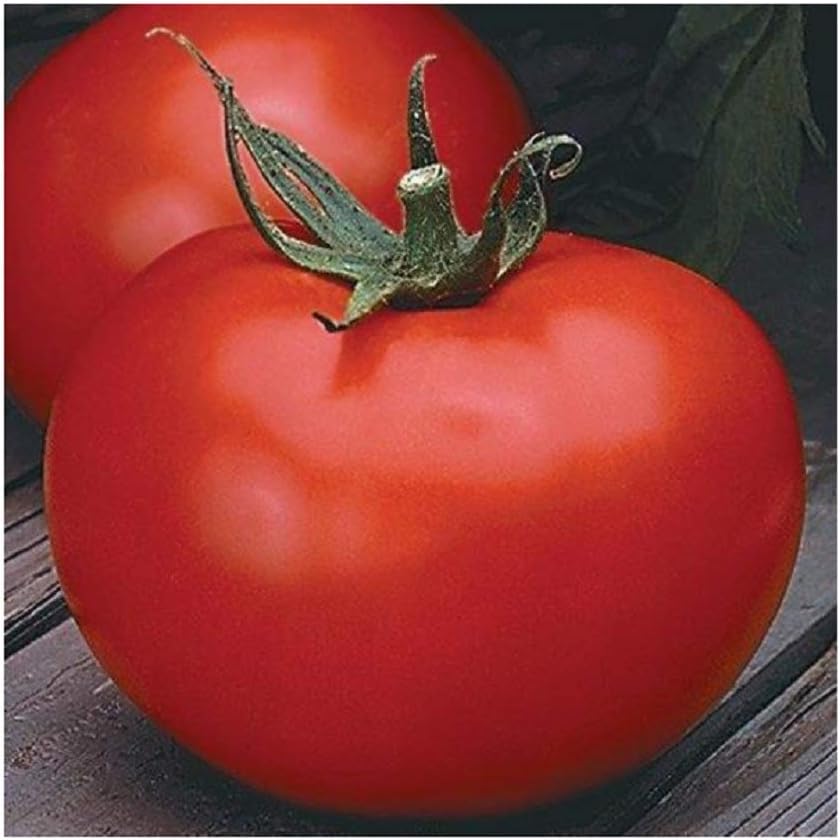 Amazon.com : David's Garden Seeds Tomato Slicing Indeterminate Better ...