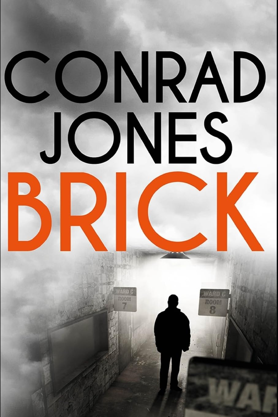 Brick: 1 (The Inspector Braddick Series)