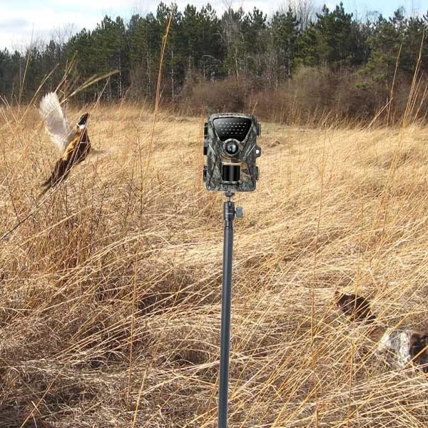 Miniatura 2 de Fotoleey Soporte para cámara de rastro Montaje en tierra Ajustable Aluminio Material Max.47.2 in Altura