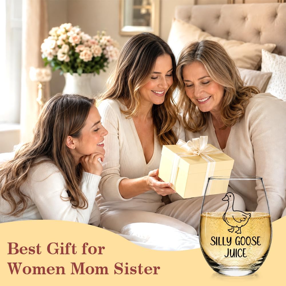 Funny Silly Goose Juice Stemless Wine Glass Gifts for Women Friend