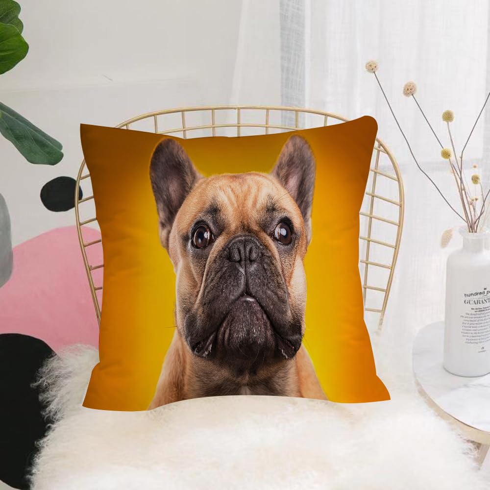 HYOSXW Cushion Cover,Throw Pillow Case Home Decorative for Living Room Bedroom Sofa Chair 16X16 Inch,Puppy French Bulldog on yellow background,Pillowcase 40X40cm