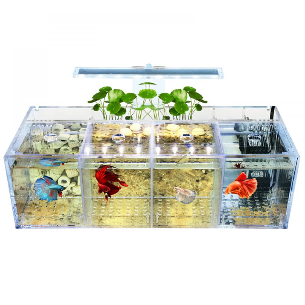 Siqi Betta Fish Tank Materiale acrilico Mini Desktop Aquarium Goldfish Mini Fish Tank Stanza di isolamento per pesci malati, con filtro per pompa dell'acqua, illuminazione (4 spazio reticolo)