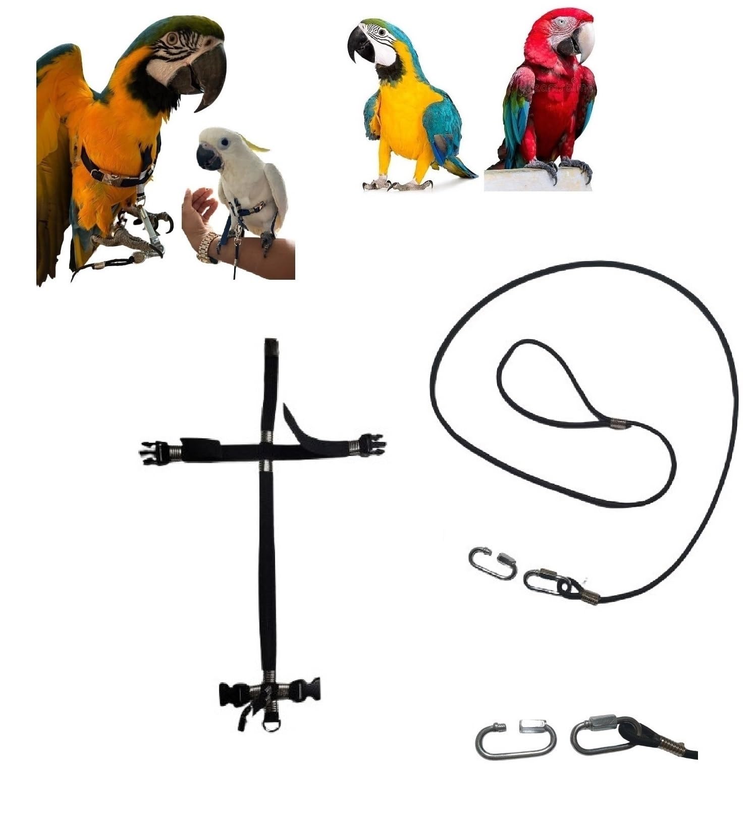 Peigne en cuir noir avec cordon de 4 mm et boucles plastique pour grand sandow ara