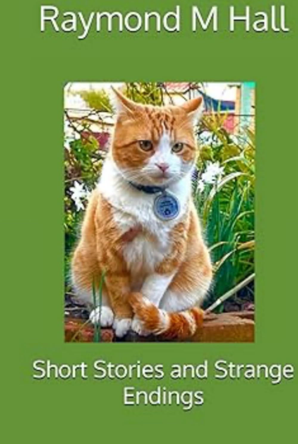 Short Stories and Strange Endings