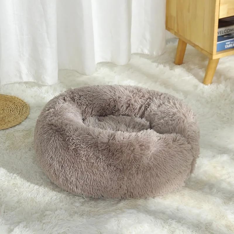 10 Best Calming Cat Bed