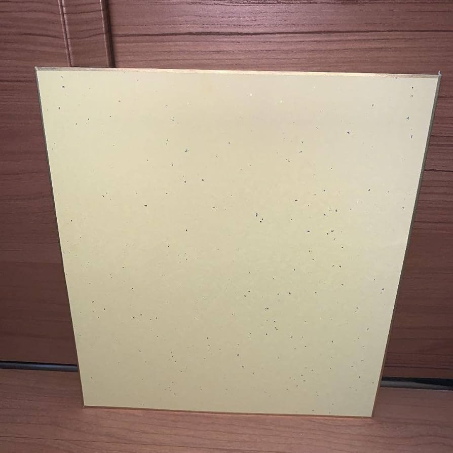 Amazon.co.jp: どぶろっく 直筆サイン色紙 : おもちゃ