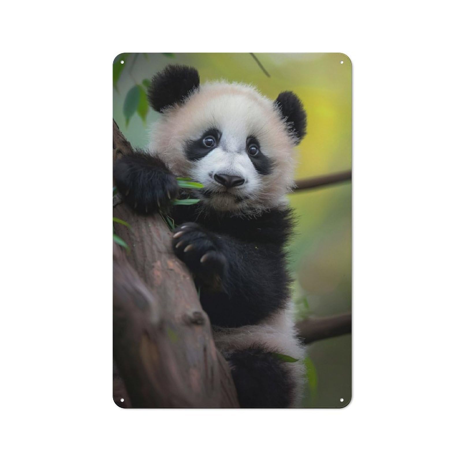 Junmoney Panda Tin Wall Plaque 30X20cm With For Home Office Or Studio, A New Home Present For Creative Workspace Decorators