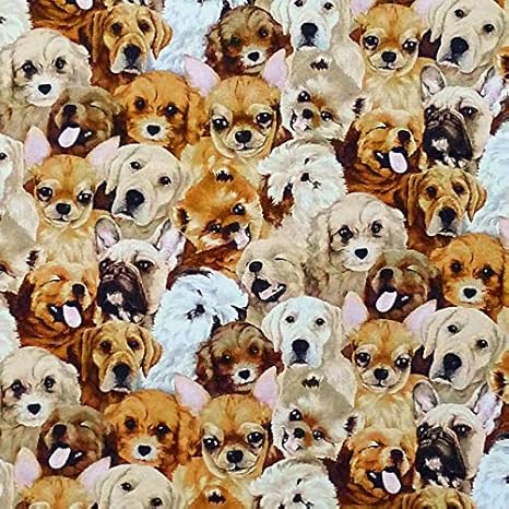 Amazon Pbs 3998 首をかしげるポメやシーズーもいる犬のポートレート コットンプリント生地 布 生地 通販 Amazon Pbs 3998 首をかしげるポメやシーズーもいる犬のポートレート コットンプリント生地 布 生地 通販