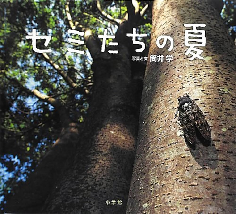 【中古】 学び方教育のすすめ/小学館/野瀬寛顕 中古】 学び方教育のすすめ/小学館/野瀬寛顕 Amazon.co.jp: 学び