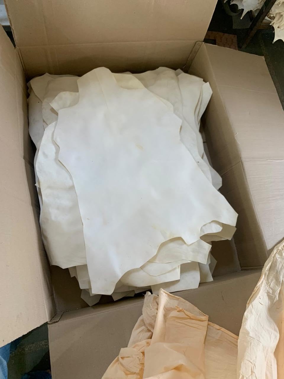 5 Pcs Goatskin Parchment Leather Vellum Full Hide Real Goat Skin, Vellum Stiff for Calligraphy Painting Bookbinding