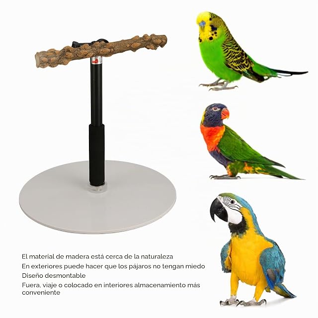 Foto 3 de 8 de EstacióN para Loros, PortáTil, FáCil de Limpiar, Percha Ajustable para PáJaros