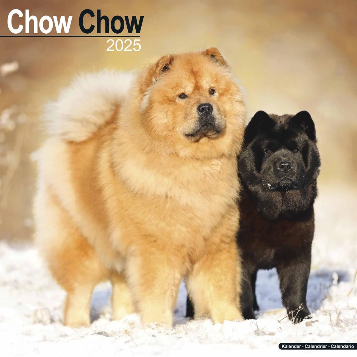 Chow Chow 2025 Square Wall Calendar | Dog Breed Calendar