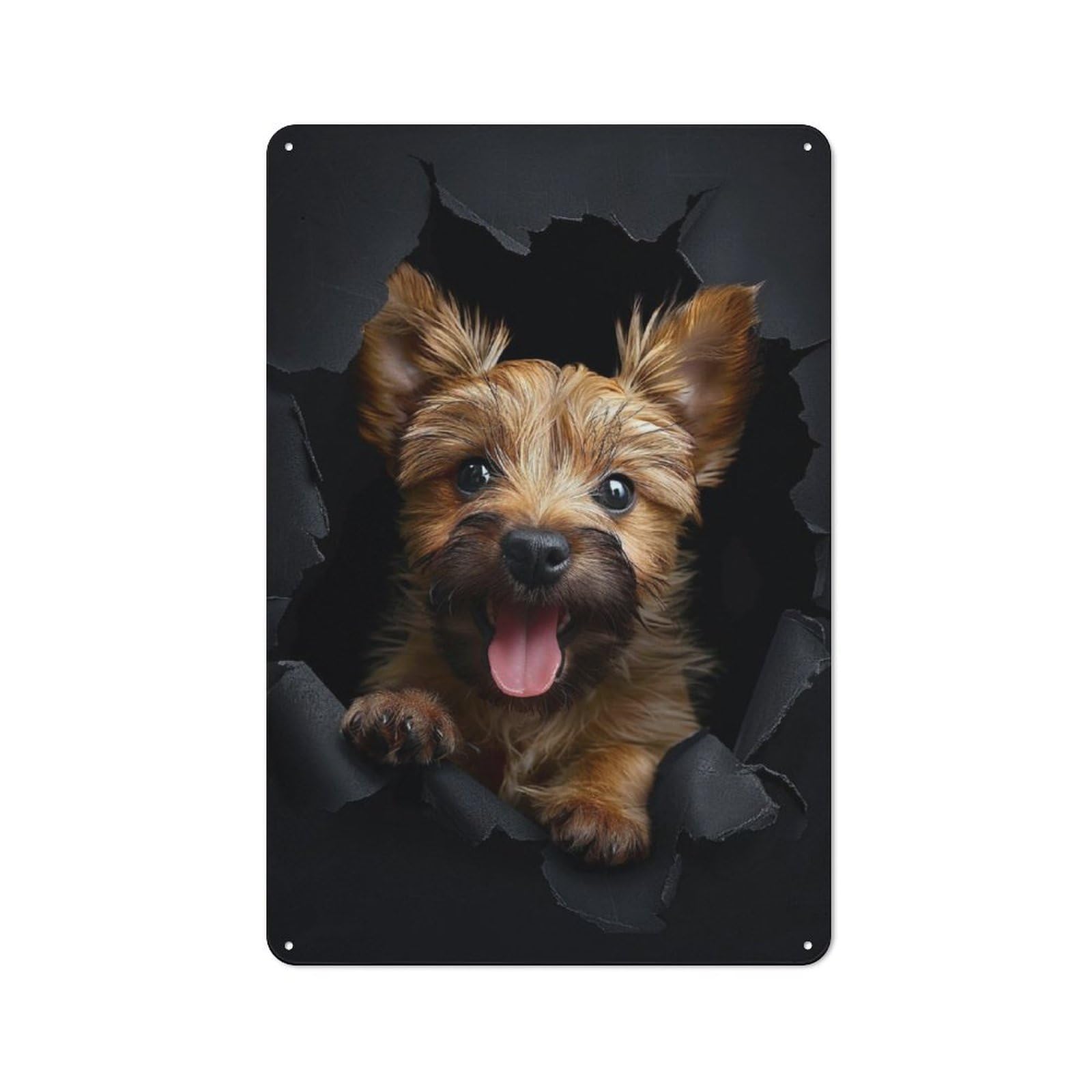 Junmoney Norwich Terrier For Garden Room Or Summerhouse, Retro Tin Sign 30X20cm, Suited To Wall Displays In Garden Rooms And Summerhouses