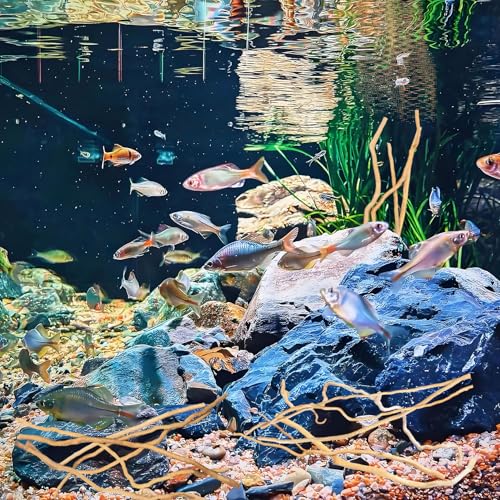 Image of Hamiledyi Natural Driftwood for Aquarium Decor - Red Moor Wood 10 inch-15 inch Long Assorted Shapes (200g) Safe Branches for Fish Tank & Reptile Habitat - Natural Aquarium Wood Decorations (Delicate branches)