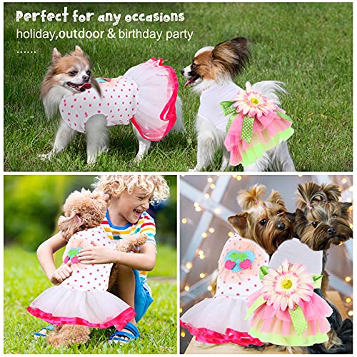 GINDOOR 2 Pieces Girl Dog Clothes - Adorable Tutu Dog Dresses Cherry & Sun Flower Printed Puppy Dog Princess Dresses Pet… - Image 7