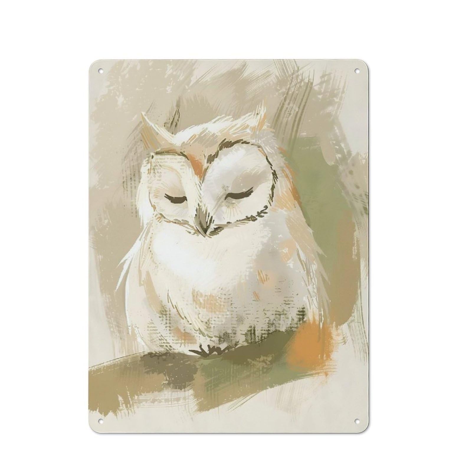Junmoney Cute Sleeping Baby Owl Nursery Illustration Metal Wall Sign 40X30cm Featuring For Garage Wall, A Housewarming Gift For People Furnishing A Garage