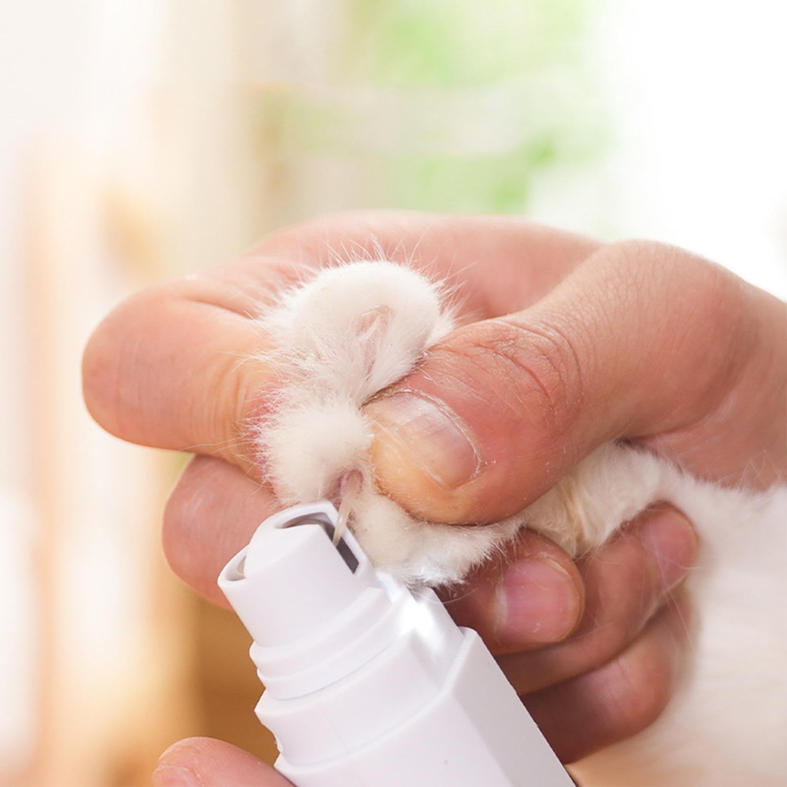 Nagelschere für Haustiere, Haustier-Nagelschleifer, Hundepfotenschneider, kabelloser LED-Elektrohund, leiser Katzennagel, professionelles Pflegewerkzeug for C(White)