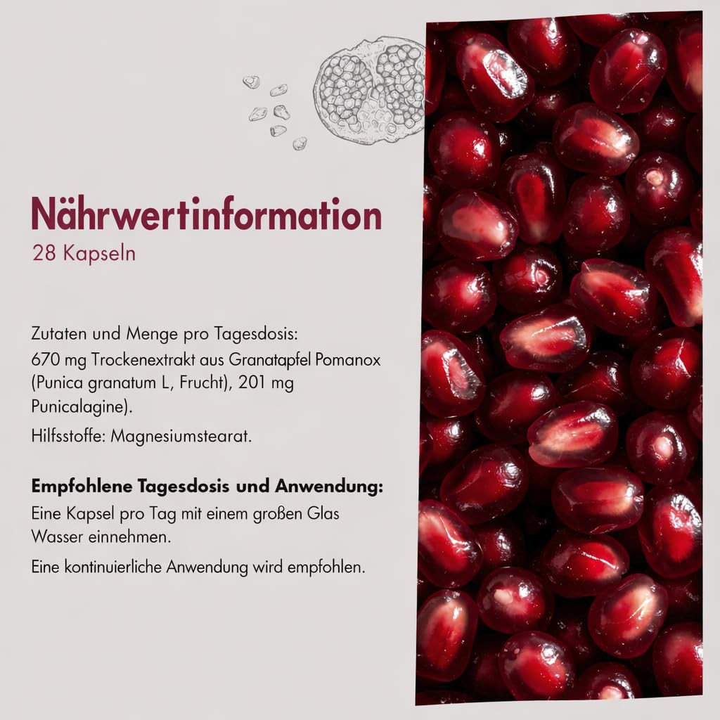 Granatum Plus - Punicalagin Plus - Nahrungsergänzungsmittel - Gewonnen aus Granatäpfeln - Antioxidatives Supplement - Verdauung und Stoffwechsel - Hautpflege - Hergestellt Spanien - 3 Box 28 Tabletten