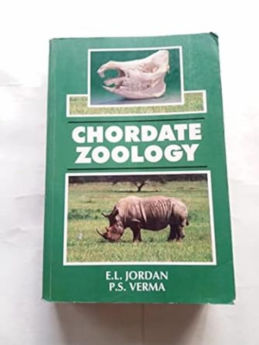 CHORDATE ZOOLOGY PDF visual data 3