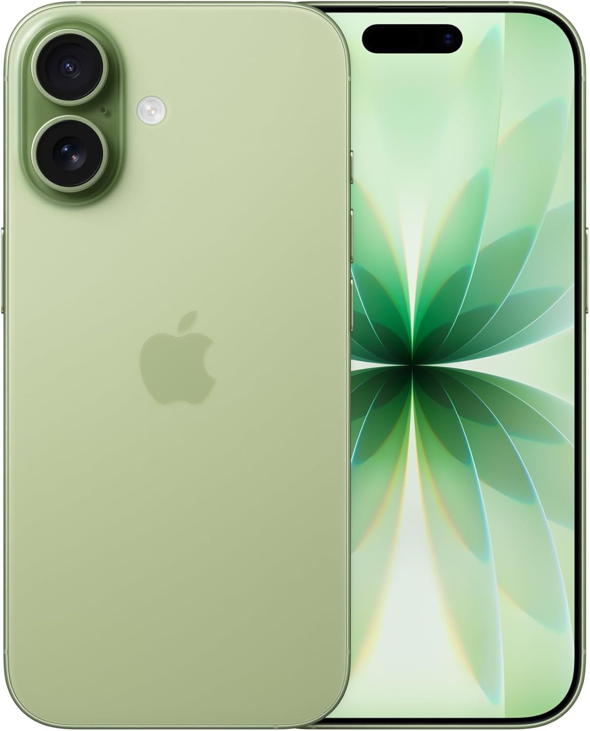 Immagine di iPhone 17 - Salvia