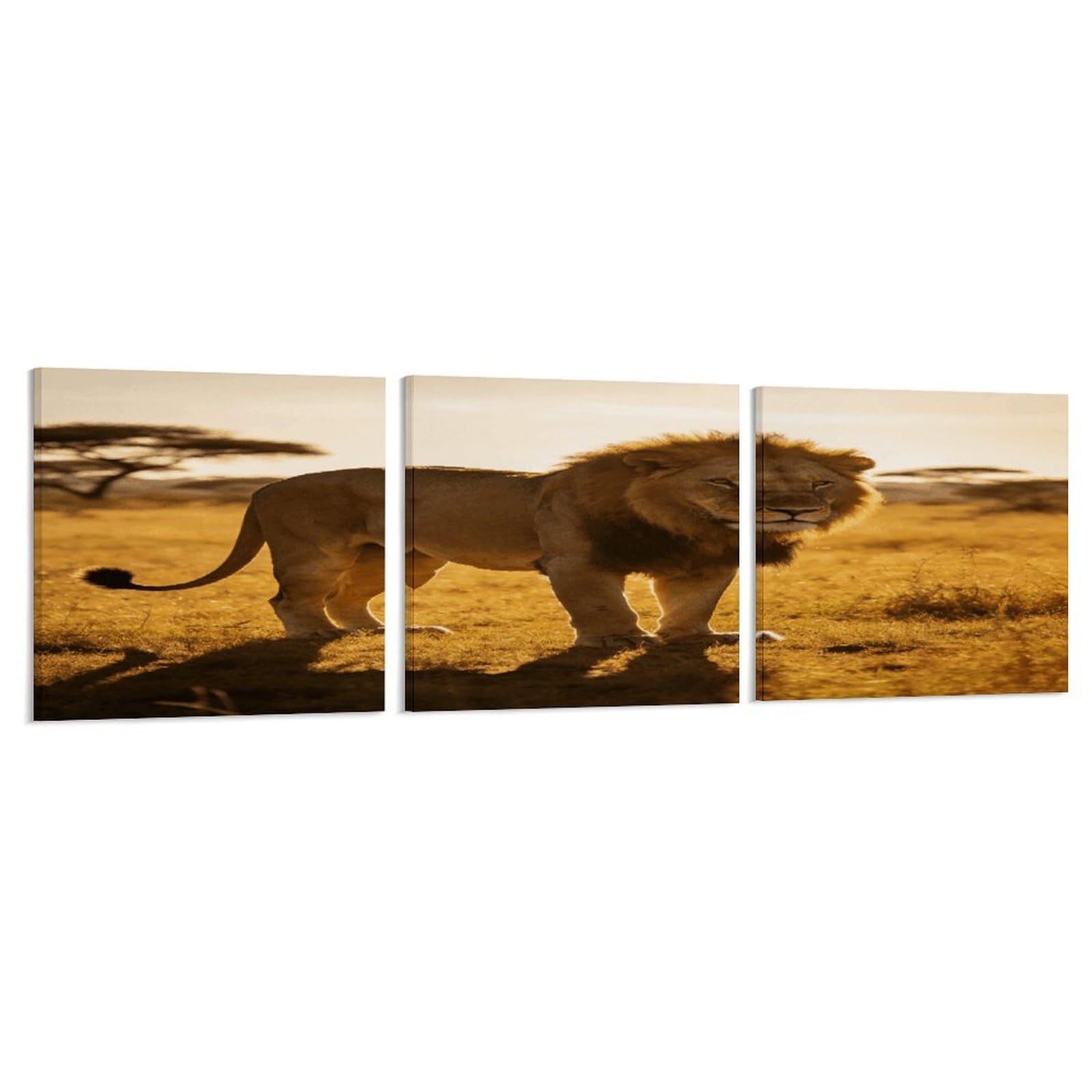 Khauerbc Style Set Of 3 Big Cat Wall Art，Paintings Artwork For Living Room, Hallway, Bedroom, Office Wall Decor For Living Room, Hallway, Bedroom, Office Paintings Artwork 8X8 Inch