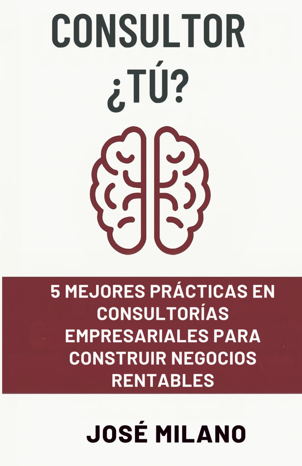 CONSULTOR ¿TÚ?: 5 mejores prácticas en consultorías empresariales para construir negocios rentables