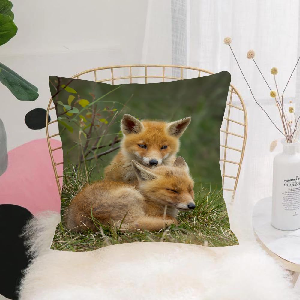 HYOSXW Cushion Cover,Throw Pillow Case Home Decorative for Living Room Bedroom Sofa Chair 16X16 Inch,Animals, two cute foxes, lying in the grass, emitting innocence and tranquility,Pillowcase 40X40cm