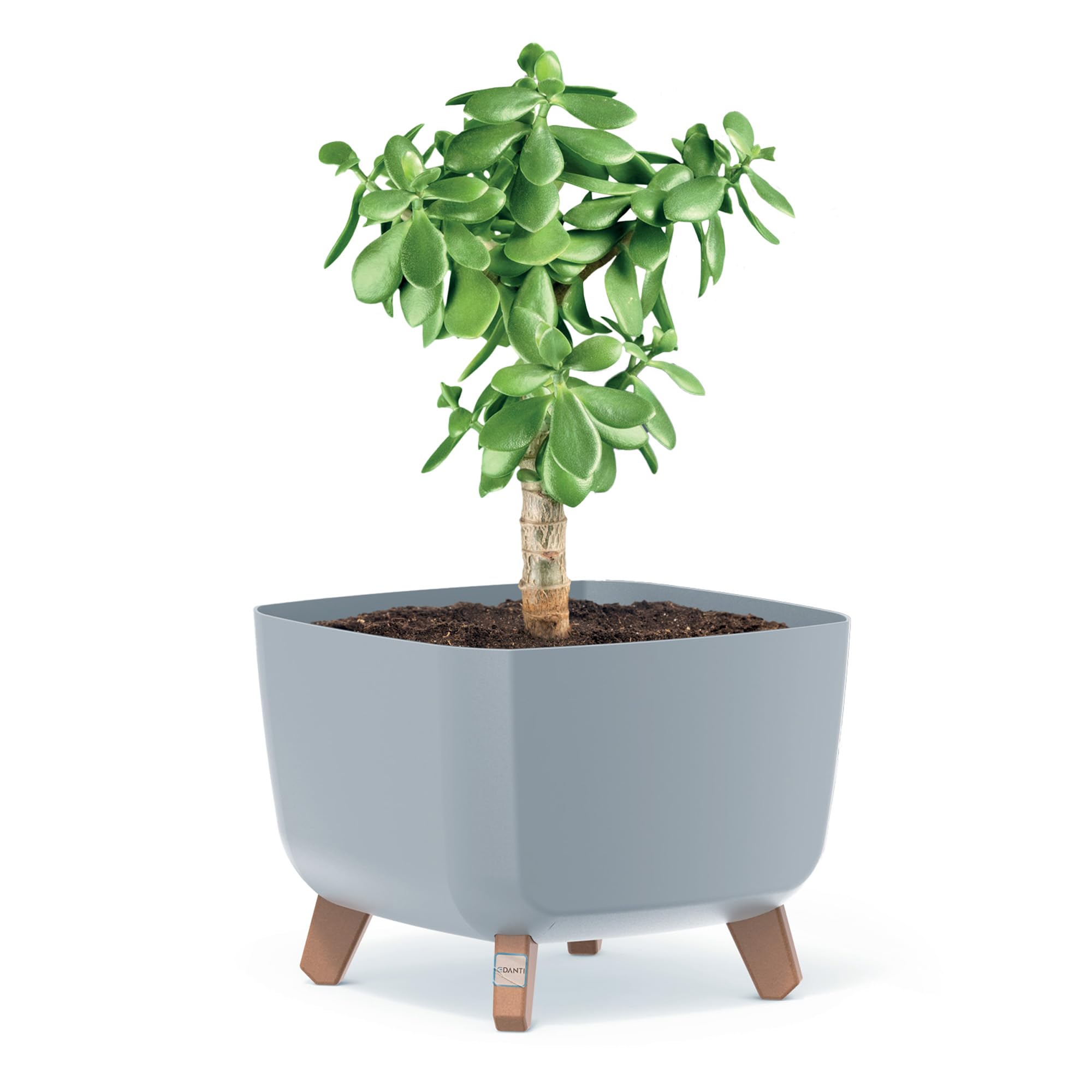EDANTI Grand Pot De Fleurs Haut 25 Cm Vert – Intérieur & Extérieur, Résistant Gel UV, Design Aiguilles Pin