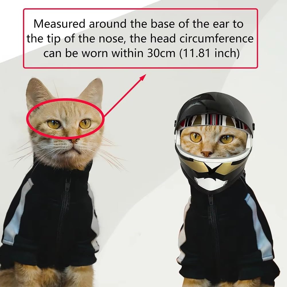 Casco Integrale da Moto per Cani E Gatti, Casco da Moto per Animali Domestici da Esterno, Accessori per Foto di Animali Domestici