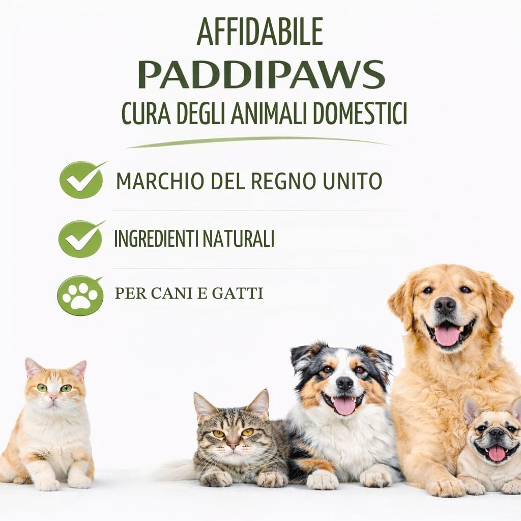 Not Tonight Fido Bitch Spray 100% Naturale Anti-Mate Spray per Cani Aiuta a scoraggiare l'attenzione indesiderata dei cani maschi.