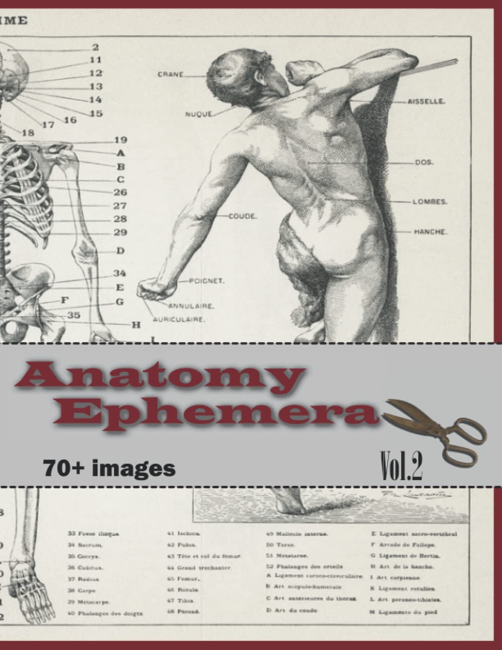 Anatomy Ephemera: Vol. 2 Collection of Anatomy Illustrations for Junk Journals, Collage, Card Making, Other Papercrafts,and Mixed Media Projects.