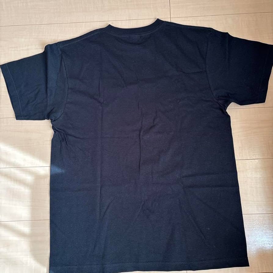 江頭2:50 エガちゃんねる Tシャツ Lサイズ 黒 ブリーフ団 61hYlzjirKL._AC_UL210_SR210,