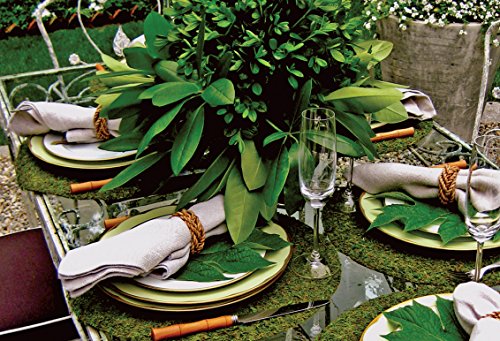 SuperMoss (22430) All Purpose Moss Mat Runners, Instant Green,Fresh Green 18" x 48"