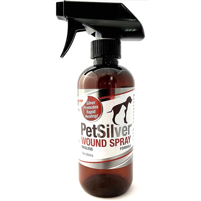 Buy PetSilver Wound & Skin Spray with Chelated Silver, Made in USA, Vet Formulated, All Natural