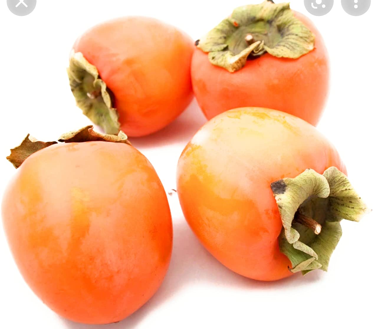 Farmmarket Persimmon Hachiya 5LBS