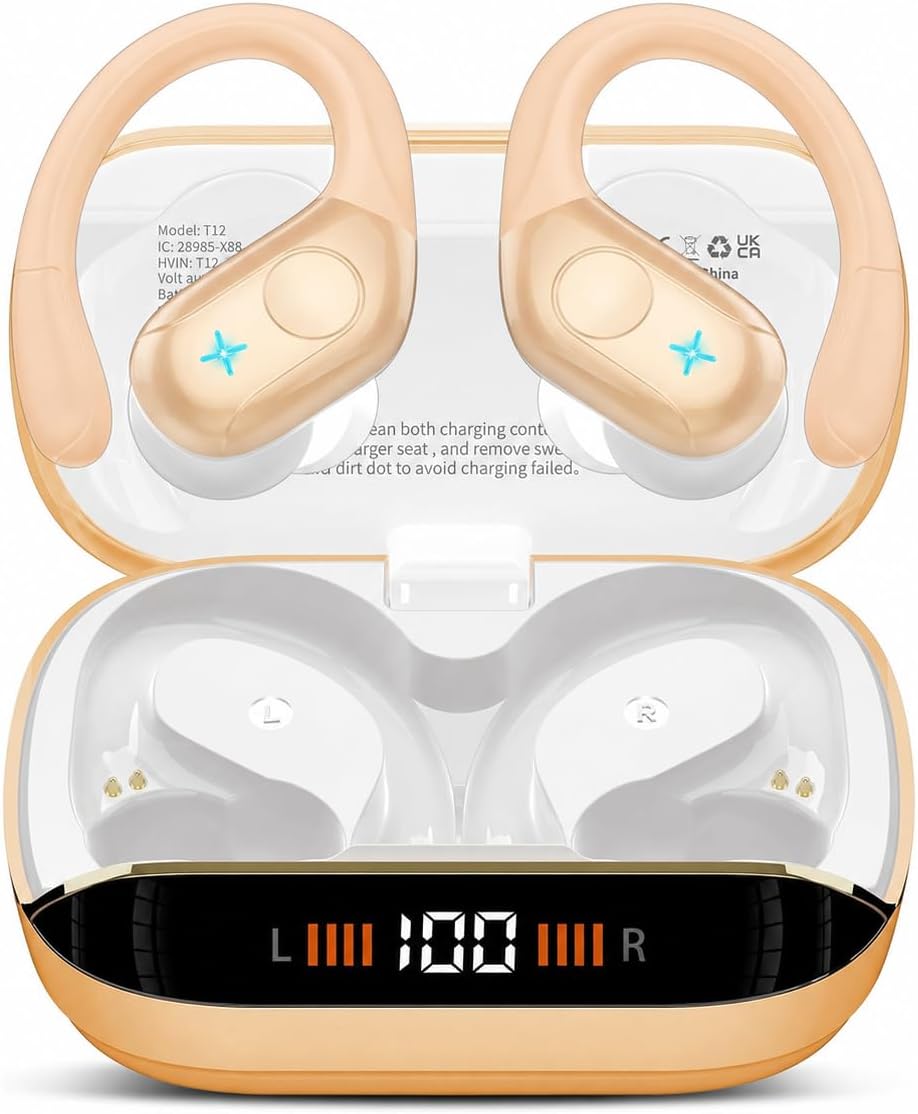 Vue 8