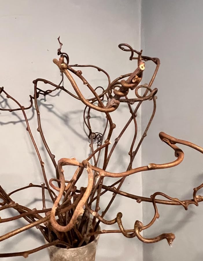 Dried Real Kiwi Vine Branches - 36" Natural Decorative Twigs for Floor Vases & Floral Arrangements - Boho Home Decor Centerpiece