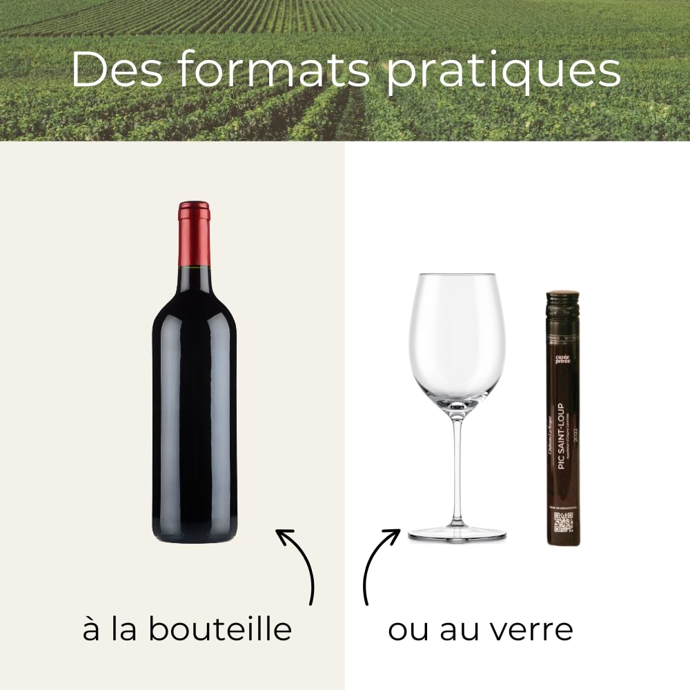 Caja de cata de vinos imprescindibles – 5 frascos de 10 cl (3 tintos, 2 blancos) | selección Francia (Burdeos, Borgoña, Alsacia, Languedoc, Côtes-du-Rhône)