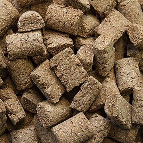 Speed Delicious speedies Cracker, Pferdeleckerli mit wertvollen Leinsamen, knusprig gebackene Cracker, Beste Zutaten (0,5 kg) (Packung mit 3)