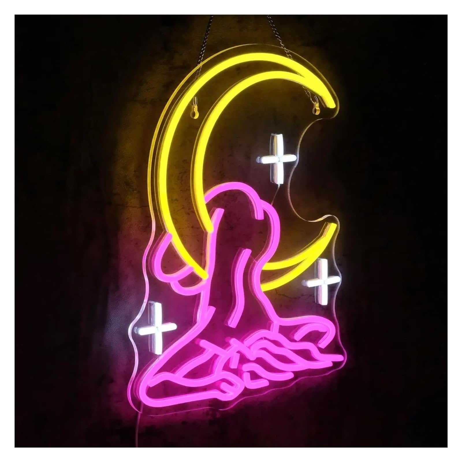 LEMST Signs Lamp Moon Lady Neon Sign Neon Light Sign for Bedroom Decor Neon Light for Bar Party Salon Decoration 26.7x35cm