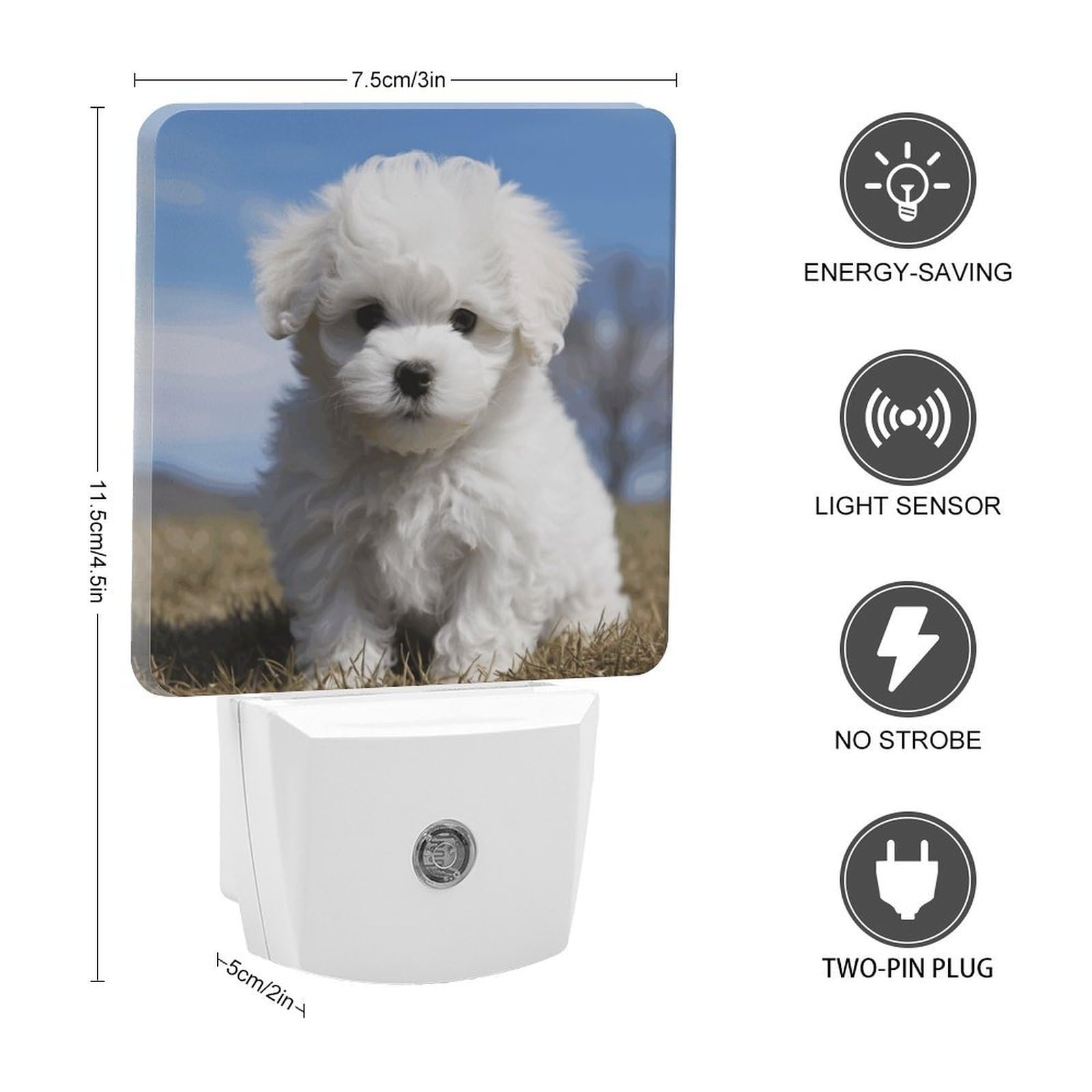 View 2