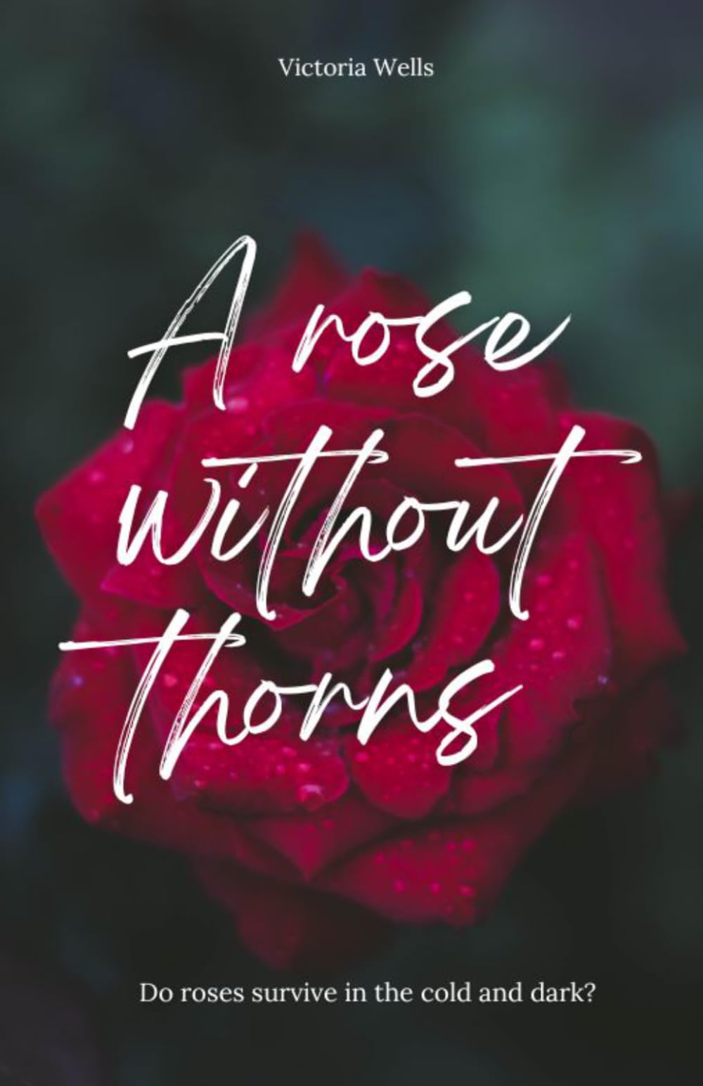 A Rose Without Thorns